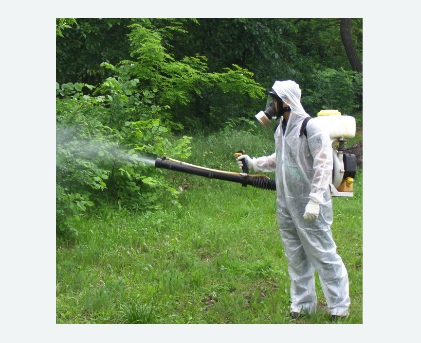 обработка дачи от клещей обработка территории от клещей в Головинском районе Москвы