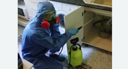 Уничтожение муравьев в квартире. Головинский район 