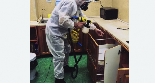 Уничтожение насекомых в квартире. Головинский район 