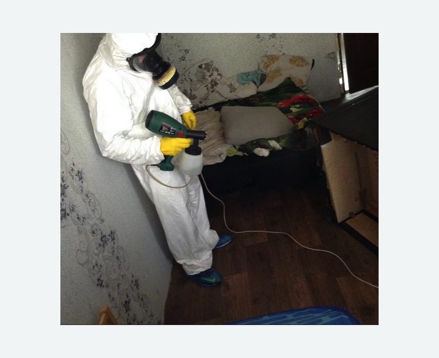 Обработка от насекомых в Головинском районе Москвы Обработка квартиры от насекомых