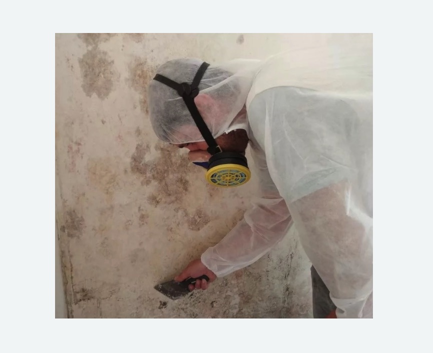 Обработка стен от плесени в Головинском районе Москвы