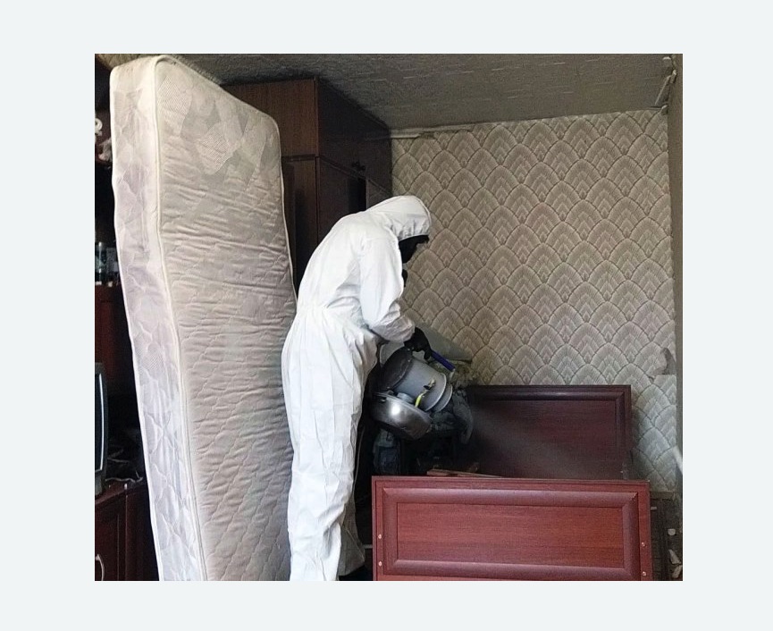 дезинфекция от клопов дезинфекция от клопов в Головинском районе Москвы