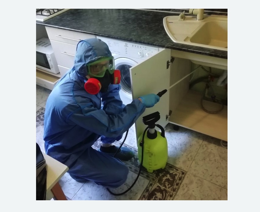 обработка от муравьев в квартире в Головинском районе Москвы