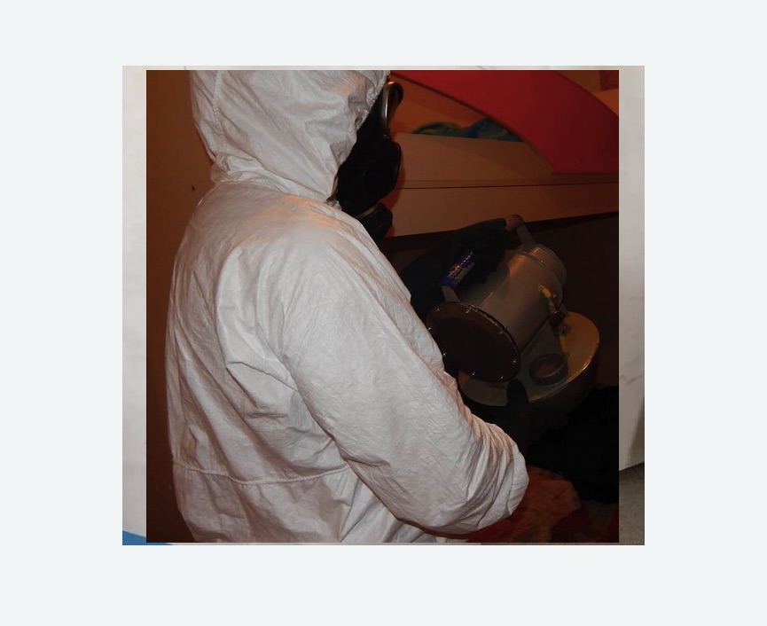 Дезинфекция от муравьев в Головинском районе Москвы