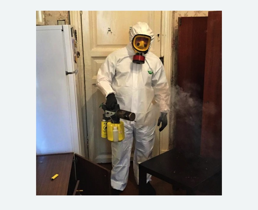 уничтожение муравьев в квартире в Головинском районе Москвы